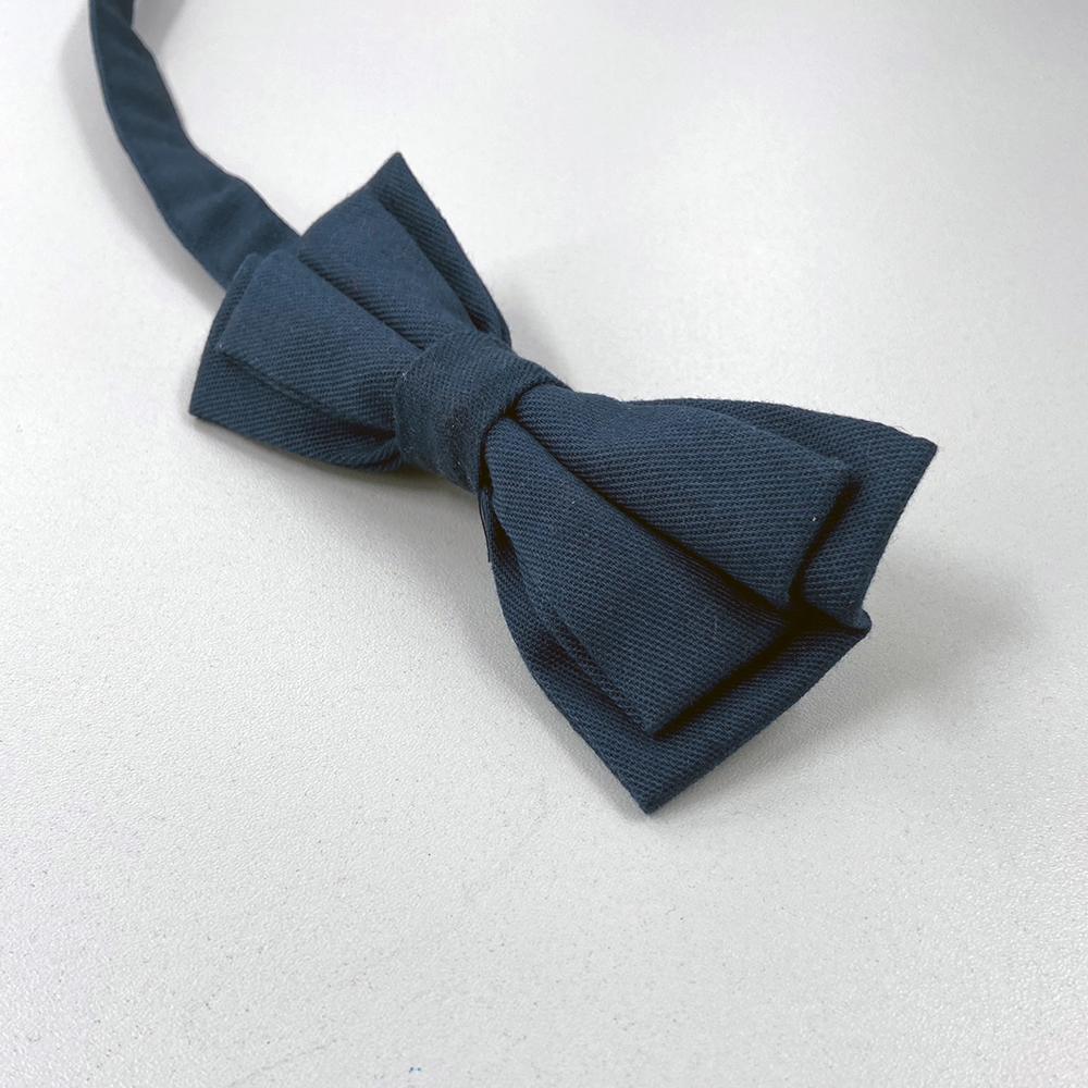 Fliege-blau- gebundene ansicht der Fliege.