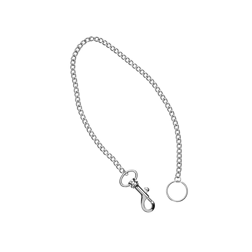 SilberMit Karabinerhaken und SchlüsselringLänge: 48 cm.