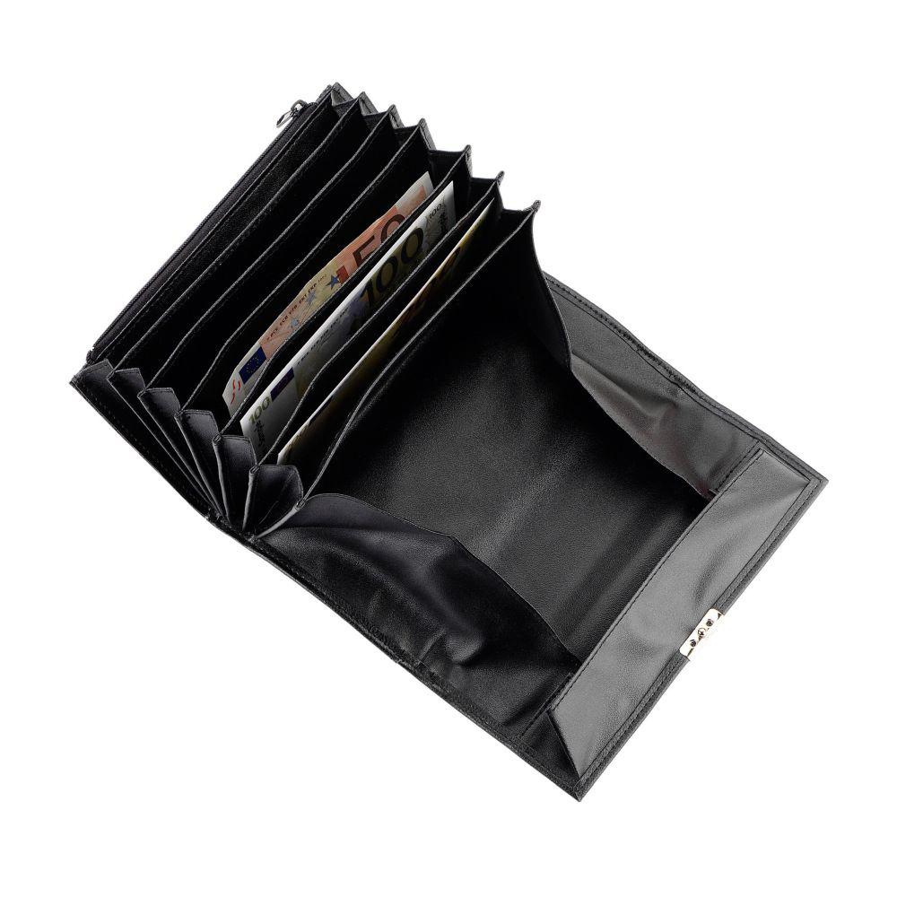 Rindleder7 Scheinfächer1 RV-FachZahlteller