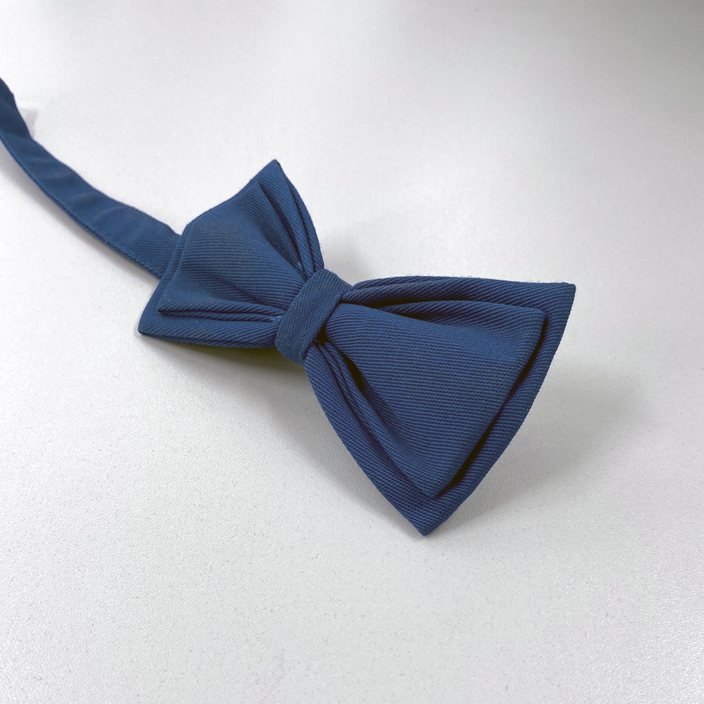 Fliege-blau,ansicht von dem Verschluss.