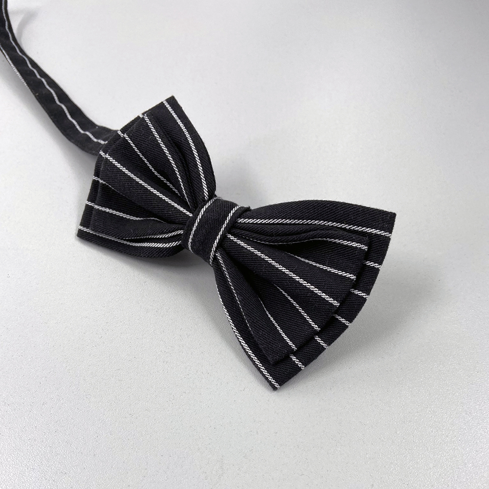 Fliege-schwarz-gestreift, vorneansicht.