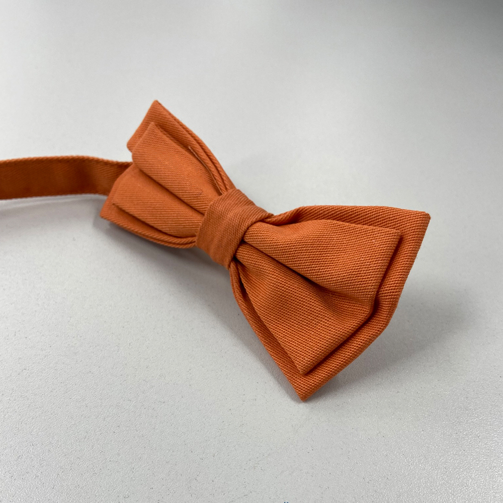 Fliege-terra-gebundene ansicht einer Fliege.